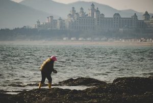 Глобално проучване: Изкуствени химикали замърсяват целия световен океан