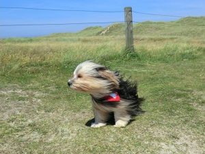 Южен вятър носи необичайна топлина преди рязко застудяване и валежи