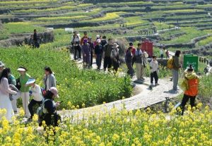 Шан'ю залага на „младостта“ като нова визитна картичка на града