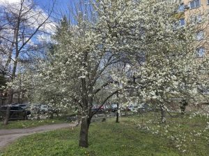 По-хладно време, валежи и опасност от лавини през почивните дни