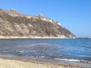 Няма замърсяване на морето край Шабла след смъртта на стотици защитени птици