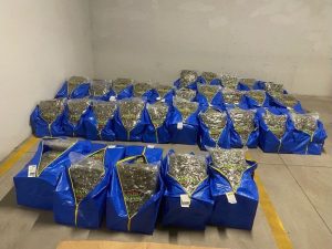 Мащабен удар срещу наркоразпространението: Иззеха над 240 кг дрога в София