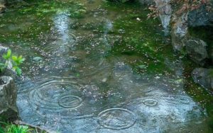 Драстична промяна на времето: От 22 градуса и пустинен прах до дъжд и сняг