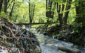 Екоминистерството нареди на местната власт спешно почистване на речните корита и деретата