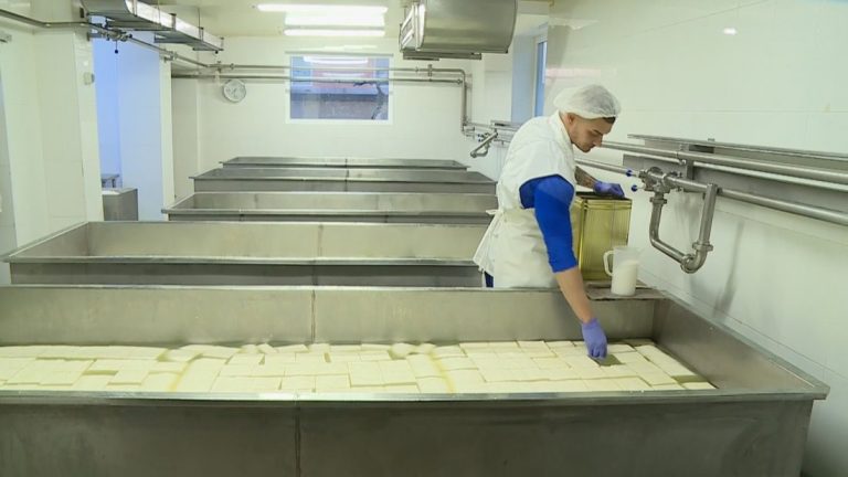 КЗК разследва нелогично високи отстъпки за млечни продукти в търговските вериги