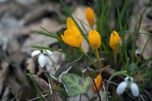 Променливо време: Облаци и дъжд в четвъртък, слънчев уикенд и прах от Сахара