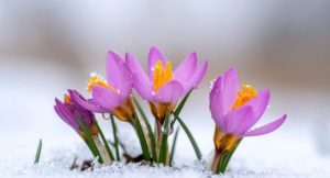 Облачно време с валежи от дъжд и сняг обхваща страната през следващите дни