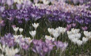 Почти без валежи в сряда: Температурите достигат 17 градуса преди ново застудяване