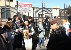 Нови разкрития и протести на делото срещу Габриела и Красимир за жестокост към животни
