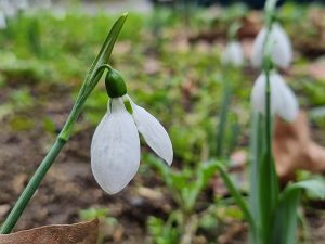 Повече слънчеви часове през почивните дни: Пълна прогноза за времето