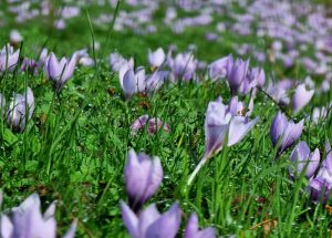 Предстои рязко понижаване на температурите и валежи от сняг у нас