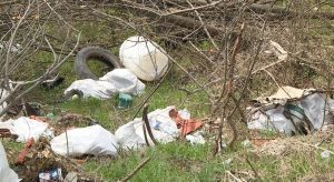 Природният парк "Приста" край Русе се превърна в незаконно сметище