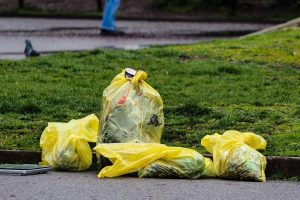 Пролетно почистване и залесяване в София: Хиляди фиданки и стотици доброволци се включват в инициативите