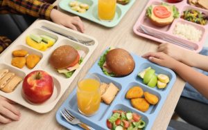 БАБХ откри плесени и опасни бактерии в храната в училищата