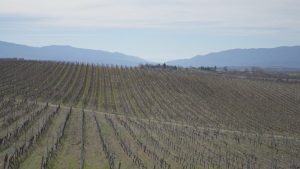 Ще има ли вода за напояване в Югозападна България: Нови цени и инфраструктурни проблеми