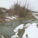 Щети за милион в Русенско: Река Студена потопи 5000 декара земеделска земя