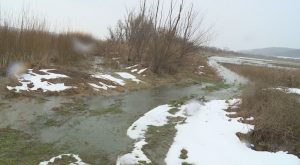 Щети за милион в Русенско: Река Студена потопи 5000 декара земеделска земя