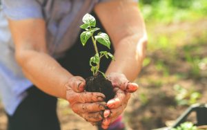 Скъпите горива и торове притискат земеделците: Секторът предупреждава за риск от масови фалити