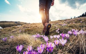 Слънчев уикенд ни очаква преди валежите и застудяването през новата седмица