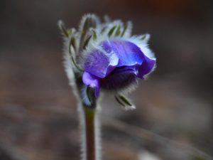 Слънчево и топло време ни очаква през новата седмица