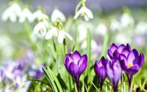 Слънчево и топло време в цялата страна: Температурите достигат 18 градуса