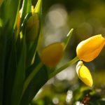 Слънчево и топло време обхваща страната с температури до 18 градуса