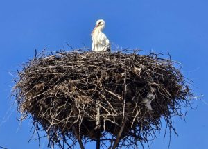 Слънчевото време се задържа, очаква се леко застудяване през новата седмица