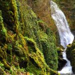 Слънчево начало на март: Температури до 17 градуса и отлични условия в планините