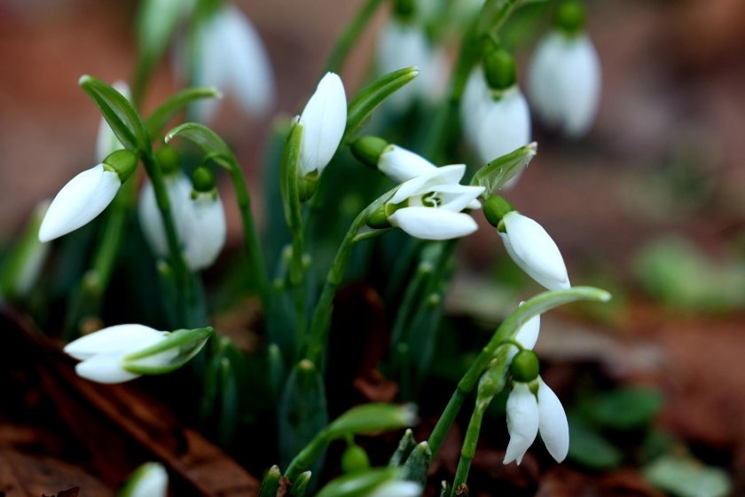 След поредица дни с топло за сезона време ще започне застудяване