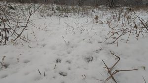 Сняг и ниски температури в Перник и Радомирско: Земеделци се опасяват от измръзване