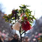 София посреща Баба Марта с празнична украса и автентични традиции