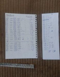 Задържаха руска гражданка в Стара Загора за купуване на гласове срещу 30 евро