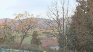 Жителите на село Старчево с масов протест срещу изсичането на гора за фотоволтаичен парк