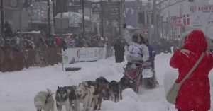 Традицията на кучешките впрягове в Аляска: „Последното велико състезание на Земята“ започна в Анкъридж