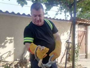 Владимир Филков: Доброволчеството ми започна с трагично издирване на дете преди 15 години