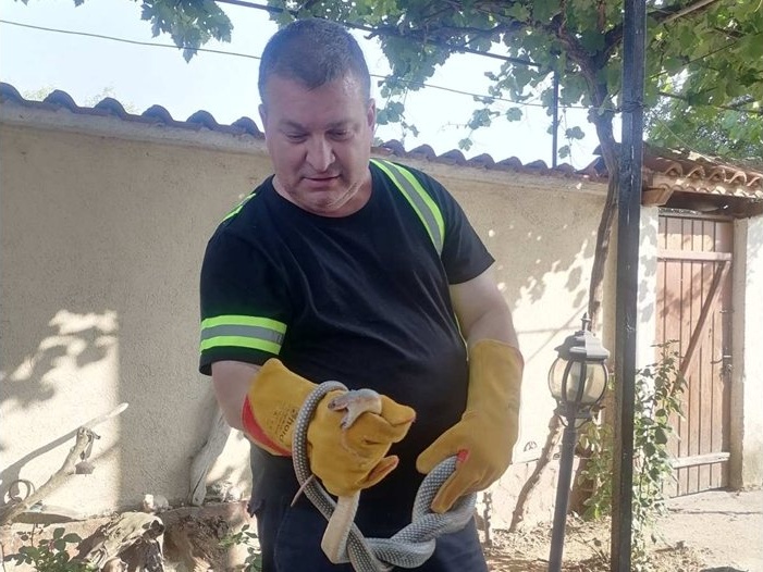 Владимир Филков: Доброволчеството ми започна с трагично издирване на дете преди 15 години