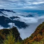 Учените определят Централен Китай като нов глобален център на биологичното разнообразие