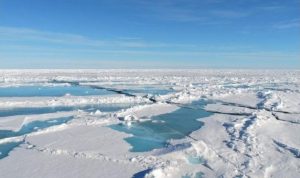 Световната метеорологична организация: Рекордно ниски нива на морския лед и глобални климатични заплахи