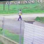 Издирват 79-годишната Танка Колева Манова от село Ръжена