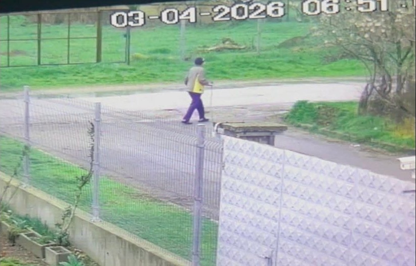 Издирват 79-годишната Танка Колева Манова от село Ръжена