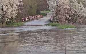 Река Росица заля мост край Павликени: Полицията затвори преминаването
