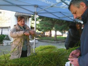 „Да пазим вярата си и мира” си пожелаха добричлии на Цветница