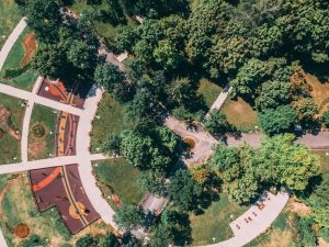 Община Монтана започва мащабна дезинсекция на зелените площи срещу кърлежи