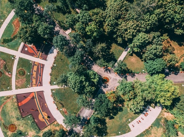 Община Монтана започва мащабна дезинсекция на зелените площи срещу кърлежи