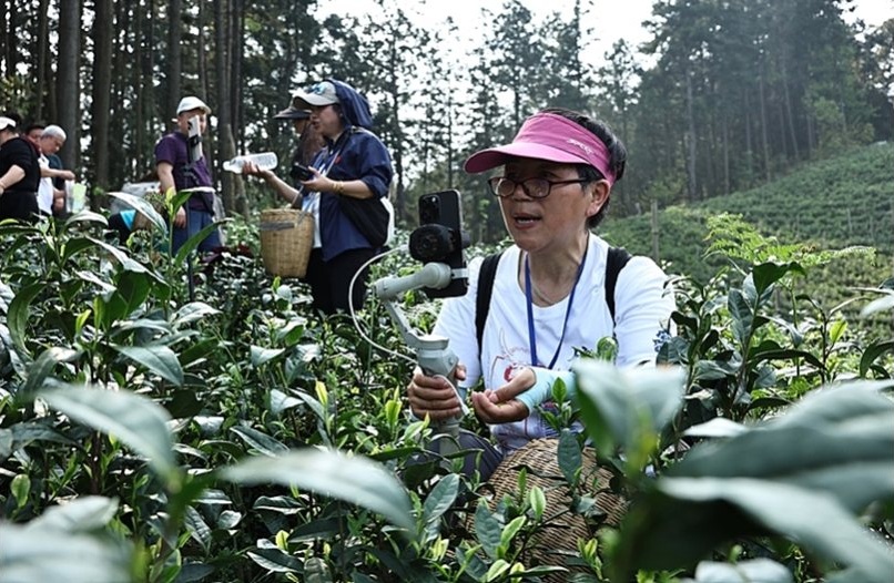Китай насърчава висококачествена електронна търговия за подкрепа на реалната икономика