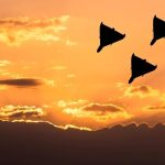 Един загинал и шестима ранени при атака с дронове в Одеса