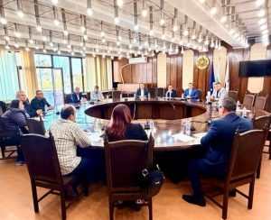 Кметът на Русе Пенчо Милков настоява за спешна държавна намеса срещу популациите от комари