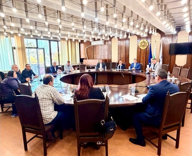 Кметът на Русе Пенчо Милков настоява за спешна държавна намеса срещу популациите от комари