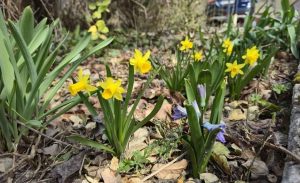 До 24° плюс облаци и слънце в изборния ден