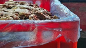 БАБХ затвори кланица край Пловдив и унищожава 35 тона месо